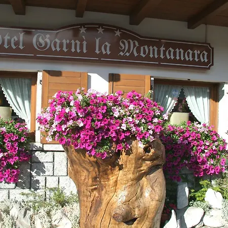 Garni La Montanara 3* Madonna di Campiglio